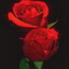 src